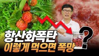 아침에 꾸지뽕 이렇게 먹으면 독약을 먹는 것과 같습니다. 만성질환, 암/당뇨 환자는 이렇게 먹으면 폭망합니다.