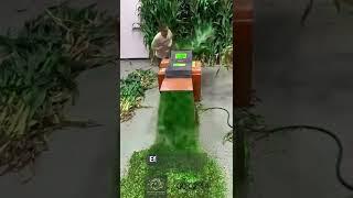 Grass Chopper Machine Innovation: Efficient Solution for Animal Feed!
