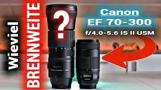  Wieviel Tele-Brennweite brauchst du wirklich? Canon EF 70-300mm f/4-5.6 IS II USM an der EOS 80D!