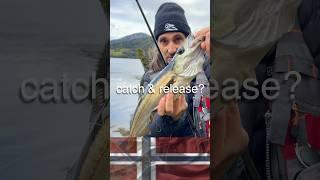 Mindestmaße, Catch & Release - Angelregeln in Norwegen #angeln #norwegen