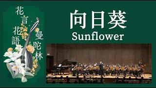 Sunflower《向日葵》ひまわり：葉加瀨太郎 曲、森本和幸 編、曾煒昕 補筆｜Taiwan Mandolin Ensemble｜指揮：曾煒昕、臺灣曼陀林樂團