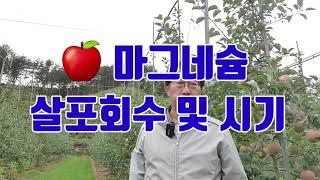 사과마그네슘 살포시기및 횟수