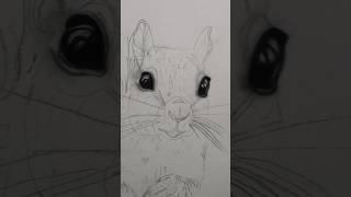  How to Draw Hyper-Realistic Squirrel Eyes – Work in Progress#viralvideo #art #drawing #drawing