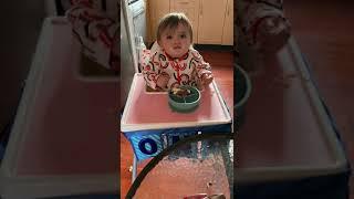 funny sneaky baby steals everything||cute baby#Hania Doda#funny video