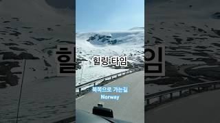 북쪽으로 가는 길 ㅡ 노르웨이 ㅡ Norway #임팀장