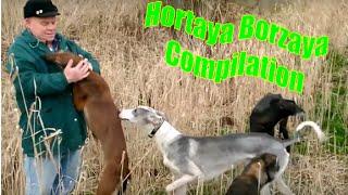 Hortaya Borzaya Video Compilation