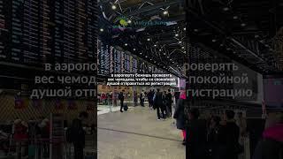 #горящиетуры #шереметьево #юмор #мемы2023 #путешествия #airport #memes #таиланд2023 #мальдивы #туры