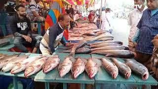 জামাই আদরে মাছের মেলা জয়পুরহাটে | Joypurhat | Fish Fair | SATV