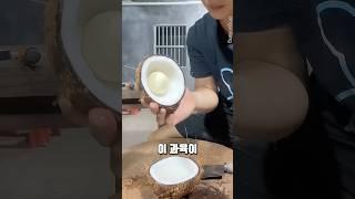 요즘 유명한 코코넛 애플