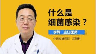 细菌感染介绍 细菌感染是怎么回事 有来医生