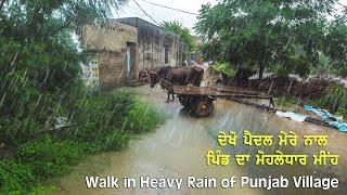 Walking in Heavy Rain in Punjabi Village -Very Heavy Rain In Punjab - Relaxing Monsoon Rain sounds