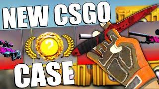 I Opened 100 of the NEW RECOIL CASE | TDM_Heyzeus