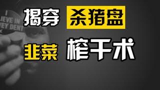 探秘杀猪盘内部：30天让你倾家荡产的完美情人骗局 | 大闲人贾白