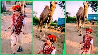 Pallo latke gori ko pallo, Rajasthani #Shorts # Status #Ruddu