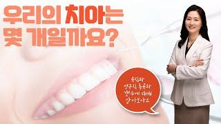 [치과예방토크 ON] 유치와 영구치 갯수와 종류는 어떻게 될까요?