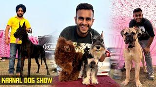 Biggest Dog show of Haryana! Karnal Dog show