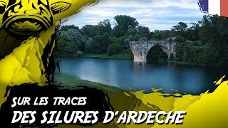 SUR LES TRACES DES SILURES D'ARDECHE - Black Cat Fishing