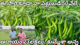 పచ్చి మిర్చి పంట సాగు చేసే విధానం// Chilli farming explanation...