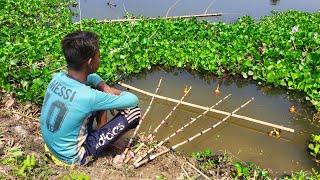 Traditional Boy Hunting Big Fish By Hook In Pound | Best Hook Fishing Video