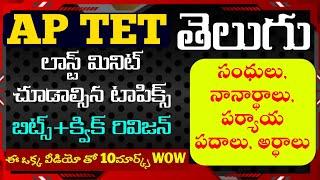 tet telugu rapid revision classes|tet telugu quick revision classes|ap tet mock test|previous bits