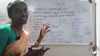 TS  DSC - TET Syllabus 2024 in Telugu | Exam Pattern | AP TET Telugu Syllabus Analysis by Sulochana