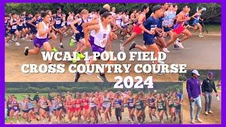 WCAL 1 @ Polo Fields G.G. SF Cross Country Course 2024.