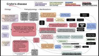 Crohn's disease (mechanism of disease)