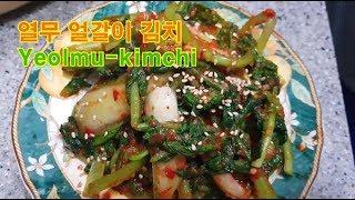 [열무김치] 초간단 얼갈이 열무 김치 담기 / young radish kimchi  : 일흔집밥