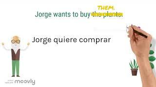 How to use and form direct object pronouns in Spanish - easy animated explanation for beginners