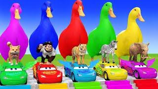 5 Giant Duck Cartoon,Cow,Elephant,Tiger,Lion,Zebra,Paint Wild Animals Crossing Fountain Animation