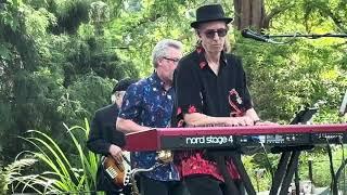 Crazy Love ️ - Moondance: Tribute to Van Morrison Live at The Ballard Locks in Seattle, WA 9/2/2024