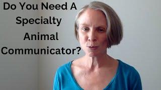 Do You Need A Specialty Animal Communicator? | Animal Communicator Tracy Pierce