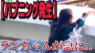 「プールから上がれ！」会場に響く声　鴨川シーワールド　シャチ　ラン