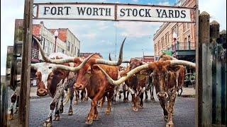 THIS IS FORT WORTH TEXAS… #YEEHAW ! 