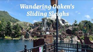 Wandering Oaken's Sliding Sleighs Disneyland Gala By Carpenter-O