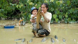 Single mother uses water pump to catch fish in abandoned pond - catches many big fish