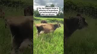 How we bought our homestead 