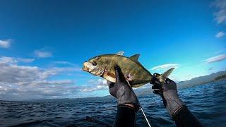 Trevallies & Surgeon Fish | Spearfishing | Sipaway Island, Philippines