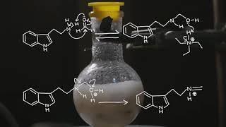 Dmt synthesis