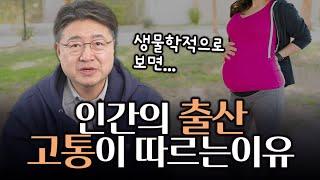 출산의 고통에 생물 진화의 핵심 원리가 숨어있다?!