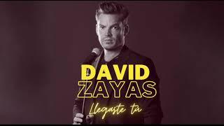 DAVID ZAYAS - LLegaste tú