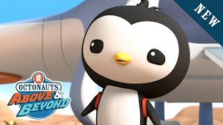 Octonauts: Above & Beyond - Curious Penguin  | Yellowstone National Park | @Kidzuko