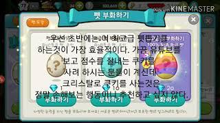 쿠키런 for kakao 유용한 팁 5가지!