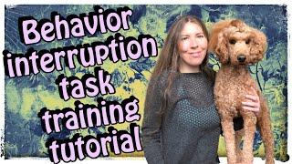 Service Dog Tasks, How to Train Behavior Interruption | #servicedog