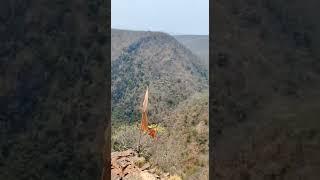 Ahobilam nallamalla forest andhrapradesh   #ugrastambam#ahobilam