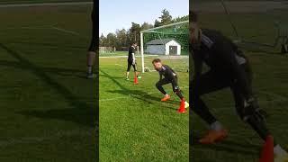 Low Dive Training For Goalkeepers #shorts