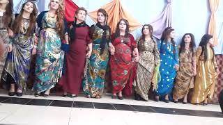 Arab Status // Beautiful Girls // Merage Dance // Status Zone // Dubai Marriage Dance // UAE Status