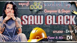 ရေပျော်လိပ် သောင်တင်ခရု 2024 new Myanmar song for youth by Saw black