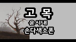 고목 /윤시내   -   손다색소폰