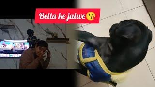 bella ke jalwe || prachigoyalvlog